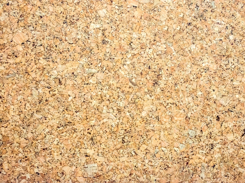 phu khanh group - bagasses